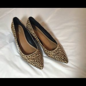 Calf Hair Leopard Low Heels